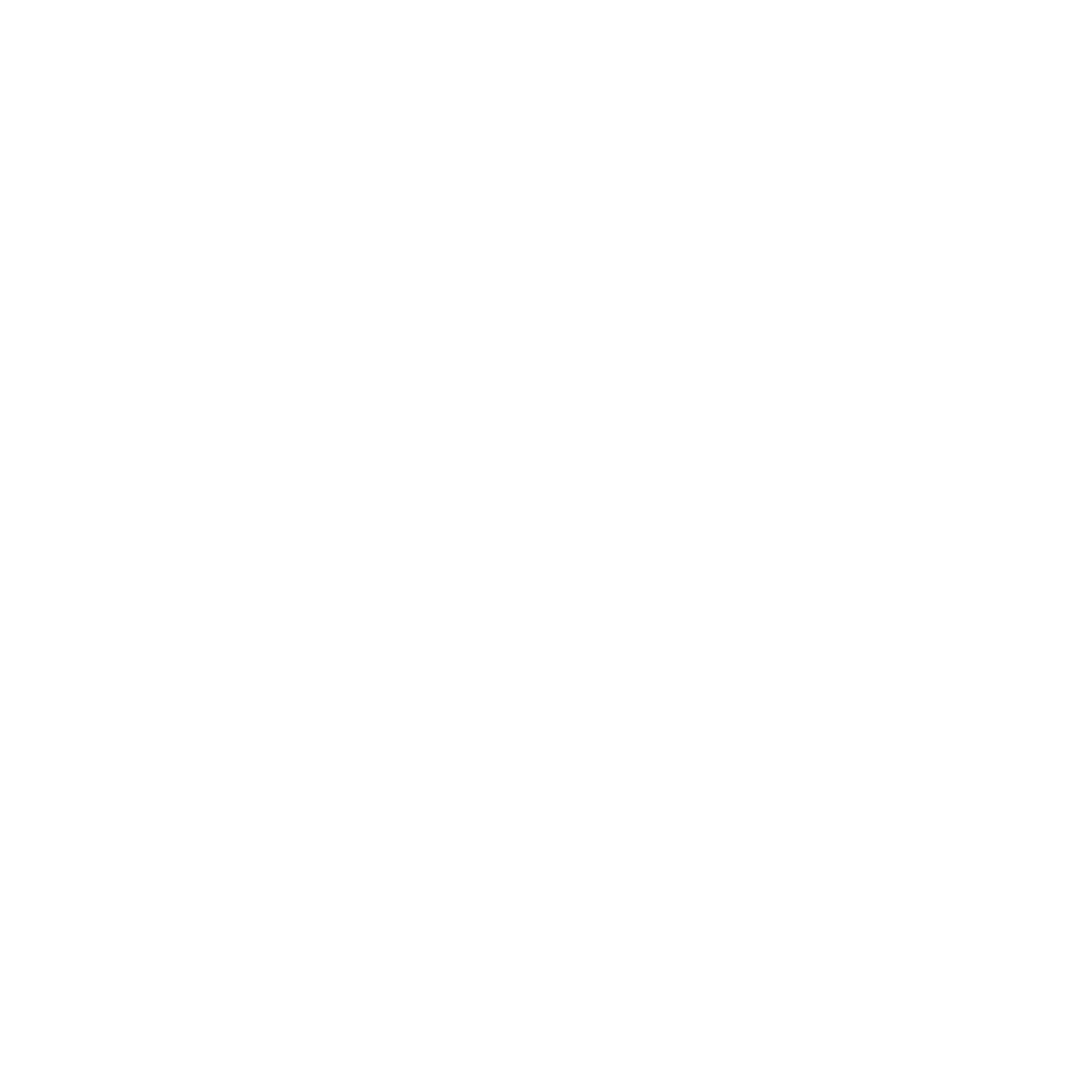 RIFF Logo